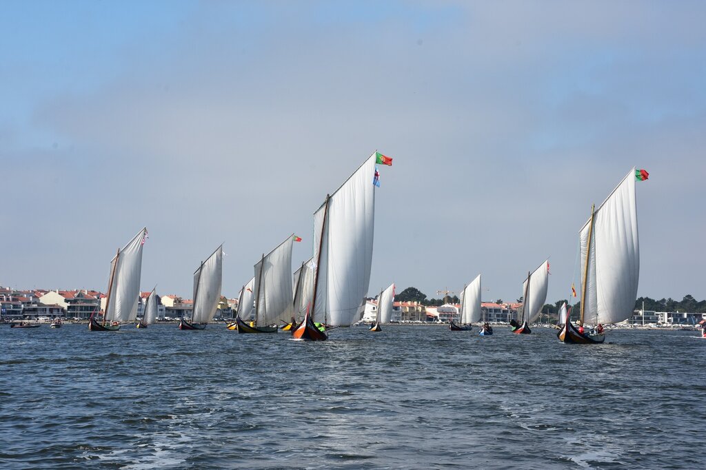 Regata de Barcos Moliceiros - Romaria de São Paio da Torreira Torreira