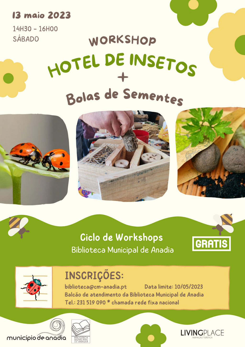 Workshop "Hotel de Insectos + bolas de sementes"