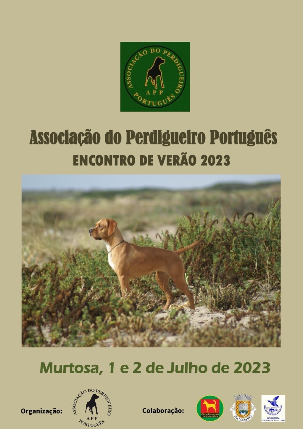 Encontro de Verão da Associação do Perdigueiro Português