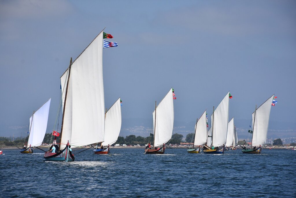 Regata de Barcos Moliceiros - Festa do Emigrante