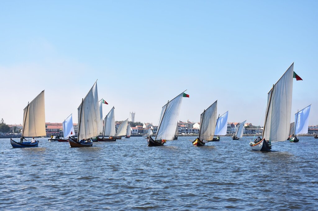 Regata de Bateiras à Vela - Romaria de São Paio da Torreira