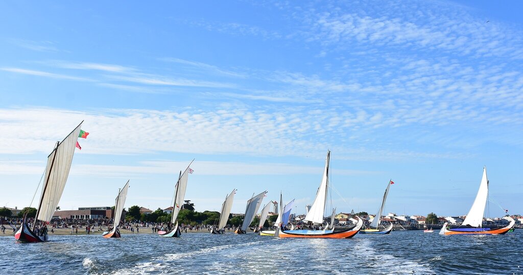  Regata de Barcos Moliceiros - Romaria de São Paio da Torreira