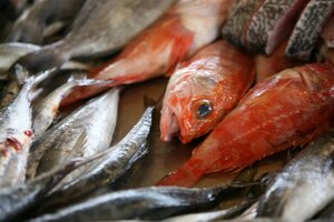 ATIVAÇÃO DA NOVA ILHA DE PEIXE NO MERCADO MANUEL FIRMINO