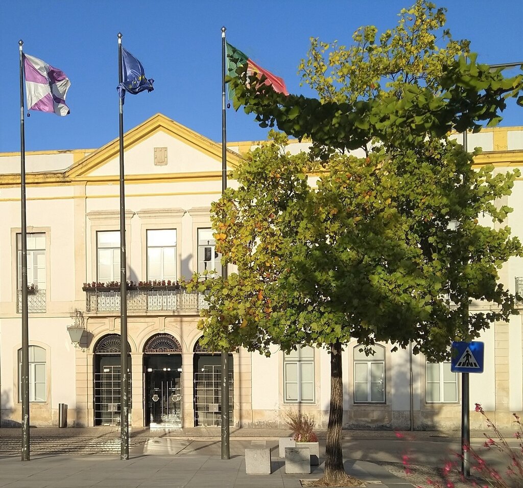 Aprovação de regulamentos