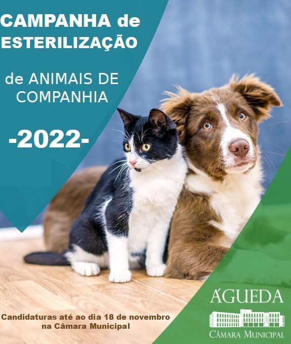  Câmara de Águeda apoia esterilização de animais de companhia