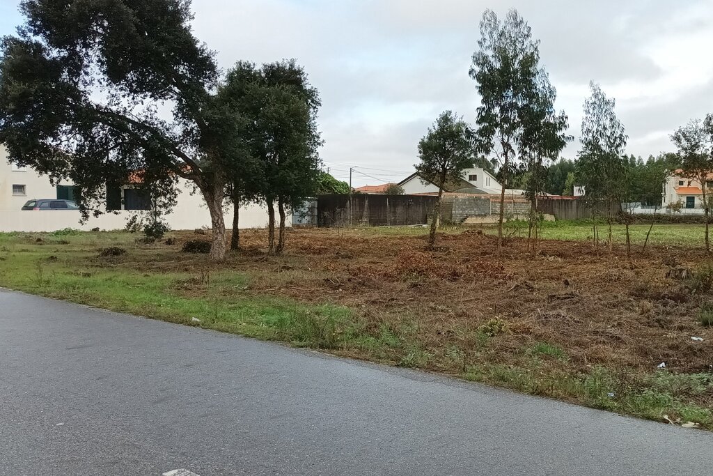 Florestas: balanço positivo em 2022