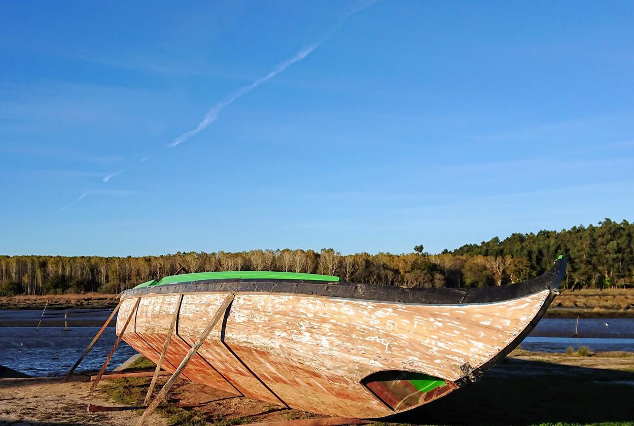 Barco Moliceiro: Arte da Carpintaria Naval da Região de Aveiro inscrito como Património Cultural ...