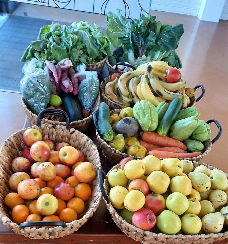 Campanha "Aqui, Fruta Feia não vai para o Lixo!” reuniu dezenas de cabazes para instituições locais