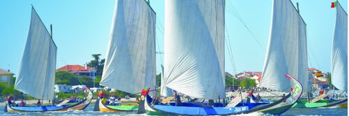 Região de Aveiro na BTL