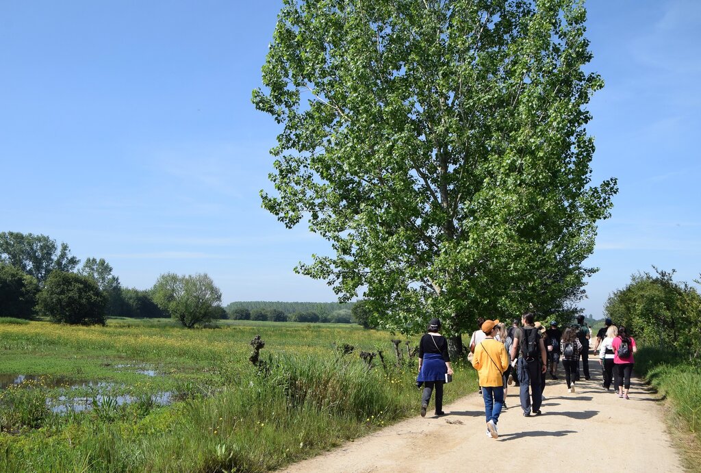 Centro de Interpretação Pateira de Frossos
