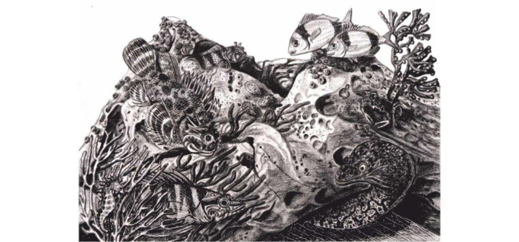 “Rimas Salgadas” traz o mundo marinho à Biblioteca Municipal