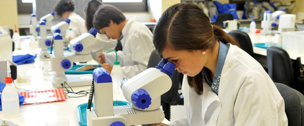 Universidade Júnior 2023