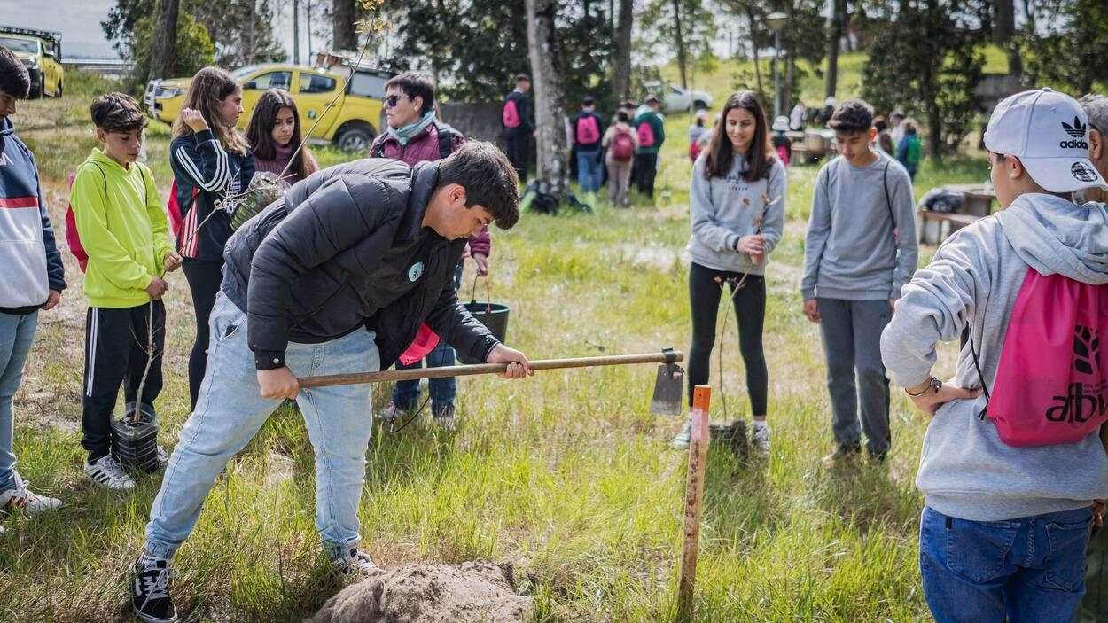 Câmara Municipal promove a plantação de 600 árvores na Reserva Natural das Dunas de São Jacinto