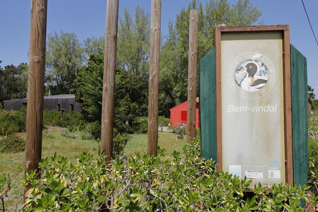 Fundo Ambiental financia em 142 mil euros melhoria das condições de visitação da Reserva Natural ...