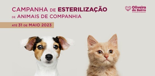 Animais de Companhia | Campanha de Apoio à Esterilização