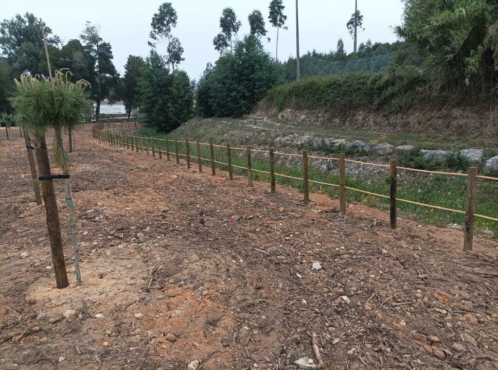 Concluída rearborização e criação de ilhas-sombra no Troviscal 