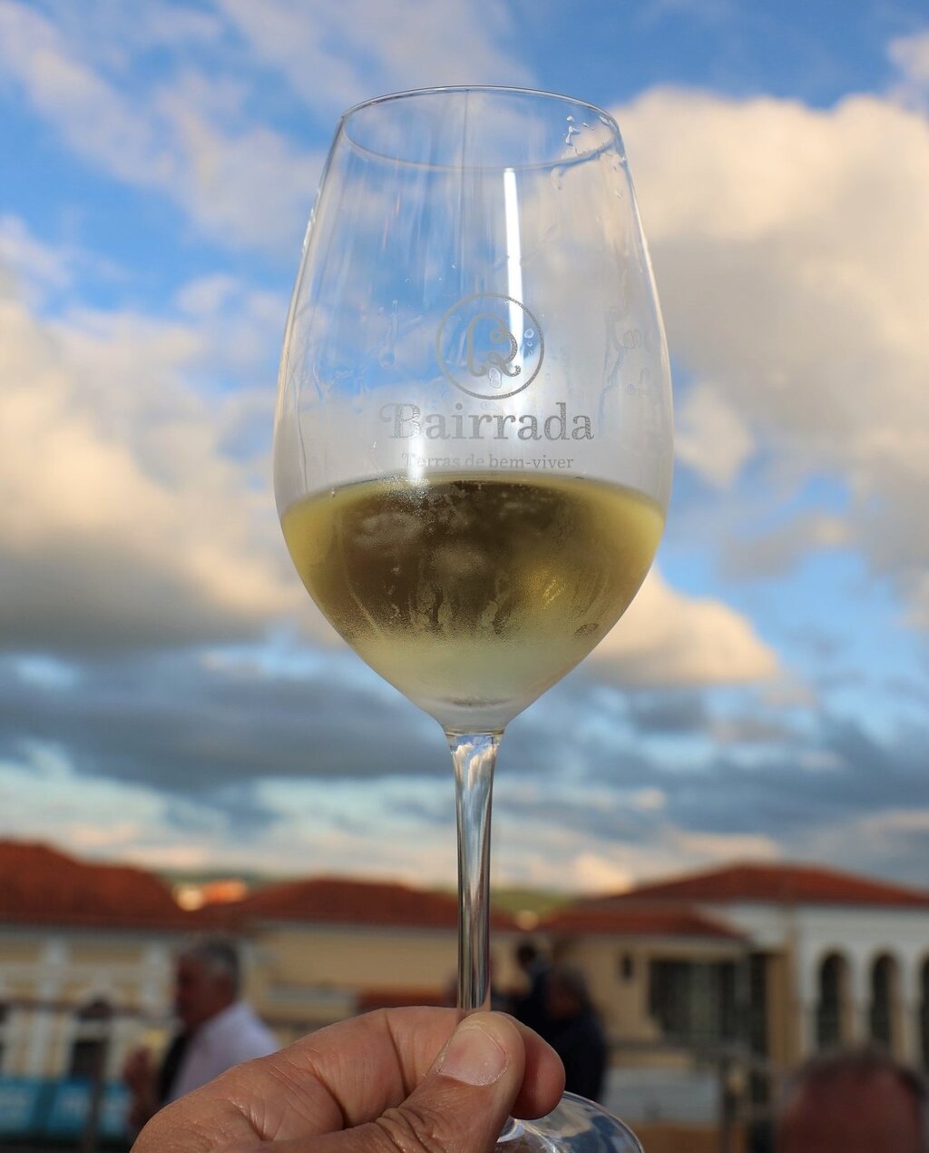 Apoio ao setor vitivinícola 