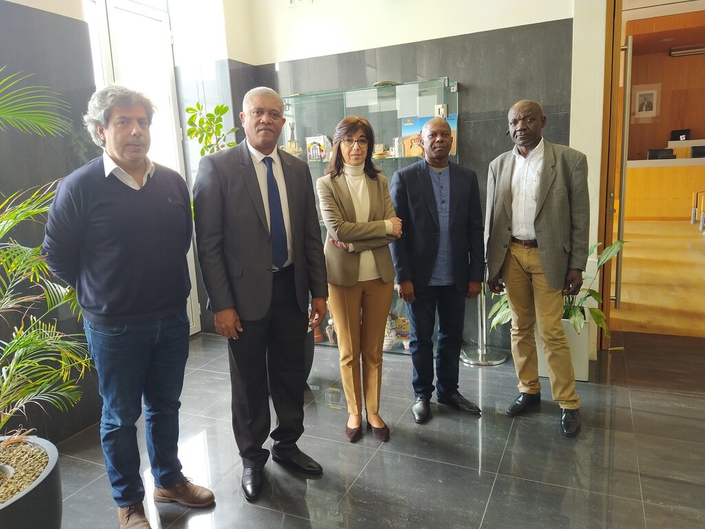 Comitiva de São Tomé em Anadia