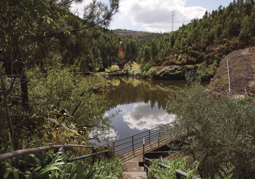 Comemoração dos dias da Floresta e da Água
