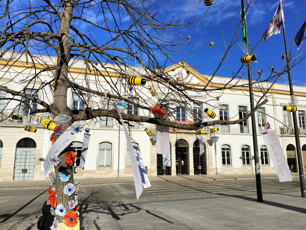 Dia Mundial da Poesia em Anadia