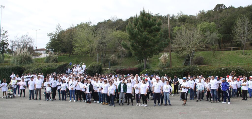 Anadia + Limpa, Anadia + Verde