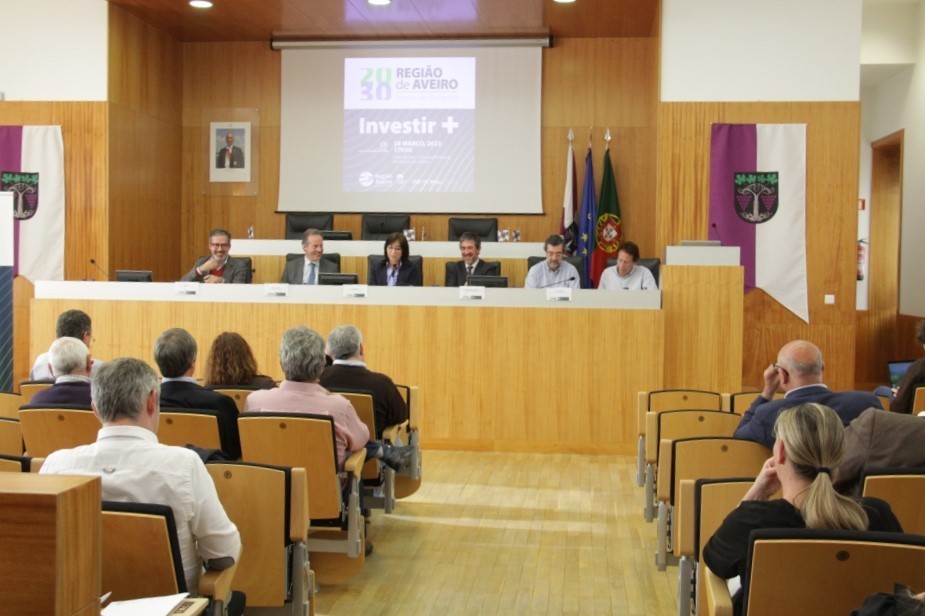 Estratégia Integrada e Plano de Ação da Região