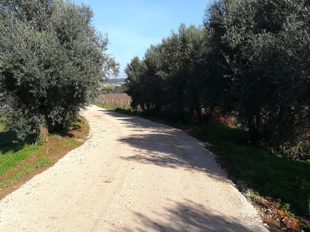 Melhoramento de caminhos rurais