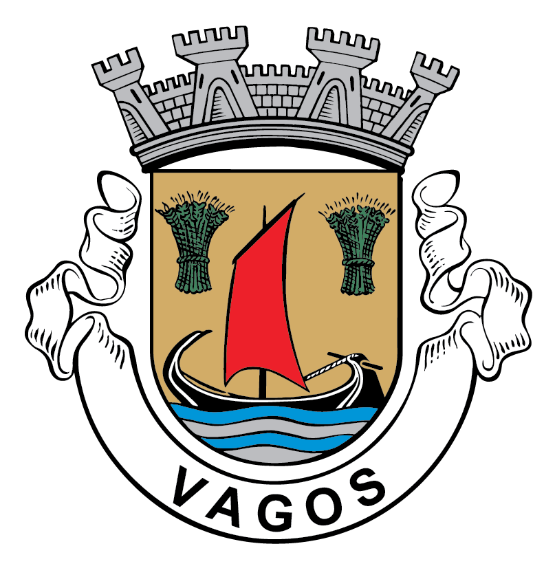 TOMADA DE POSIÇÃO DO GRUPO DE TRABALHO DE ACOMPANHAMENTO DA SAÚDE DA ASSEMBLEIA MUNICIPAL DE VAGOS