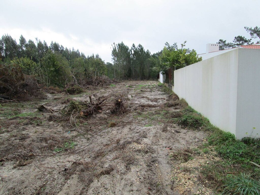 PROCEDA À LIMPEZA DOS SEUS TERRENOS