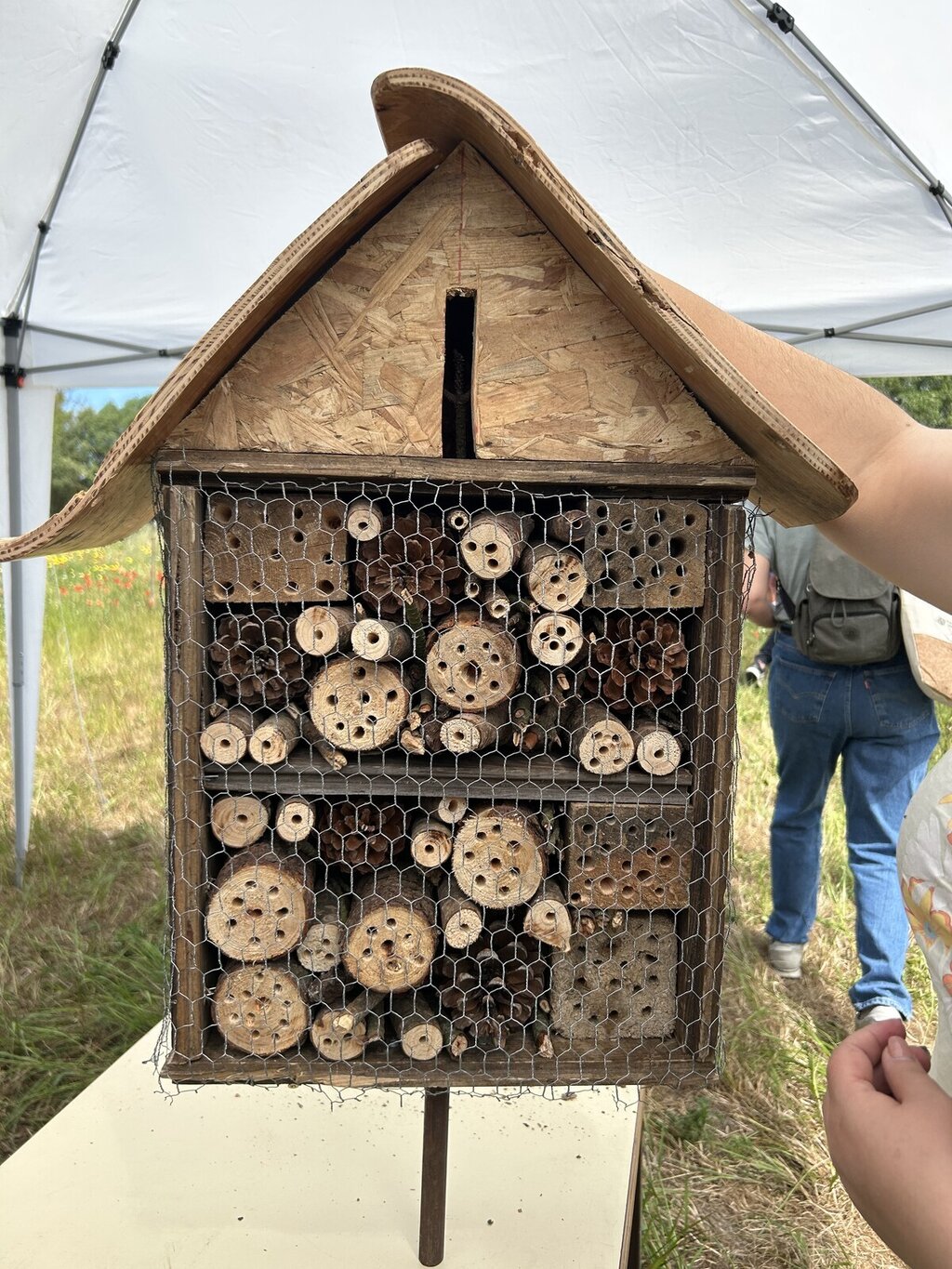 EPADRV RECEBE SEMINÁRIO SOBRE A IMPORTÂNCIA DOS INSETOS POLINIZADORES