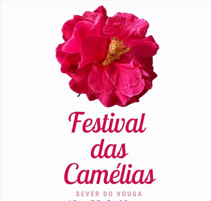 Festival das Camélias vai florir o CAE 