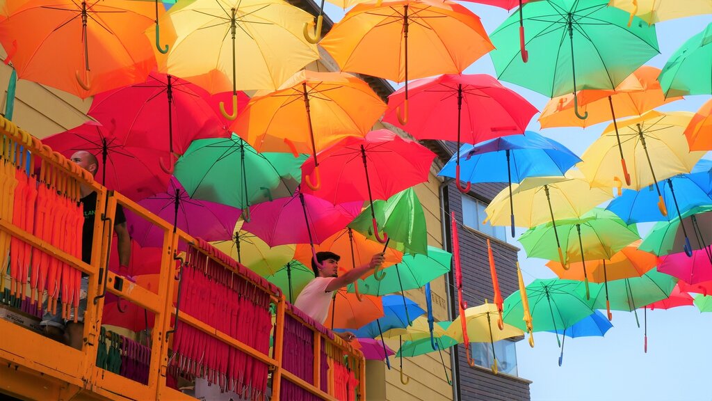 AgitÁgueda, 23 dias de muita cor, cultura e animação