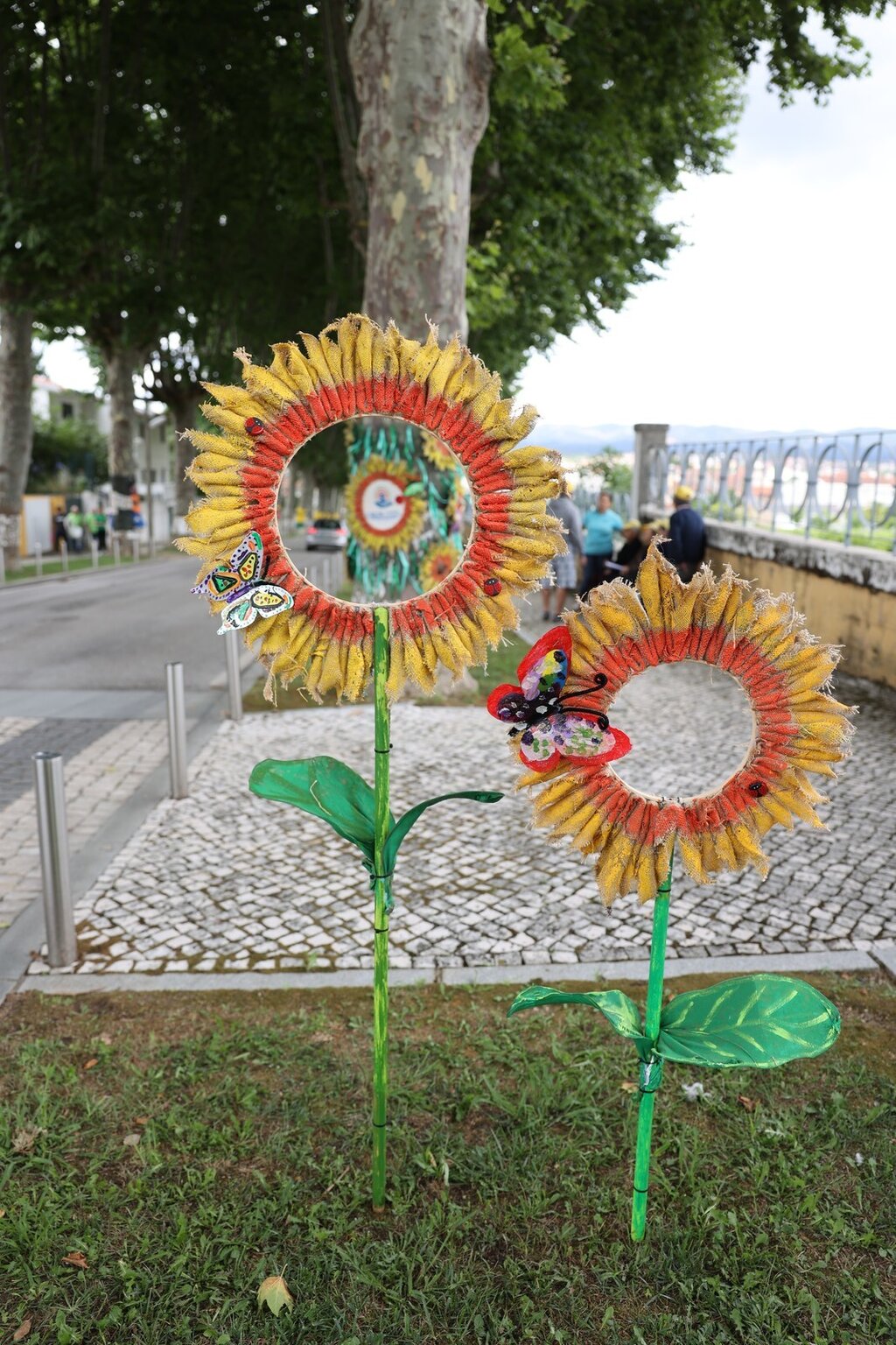 O Social abraça Anadia