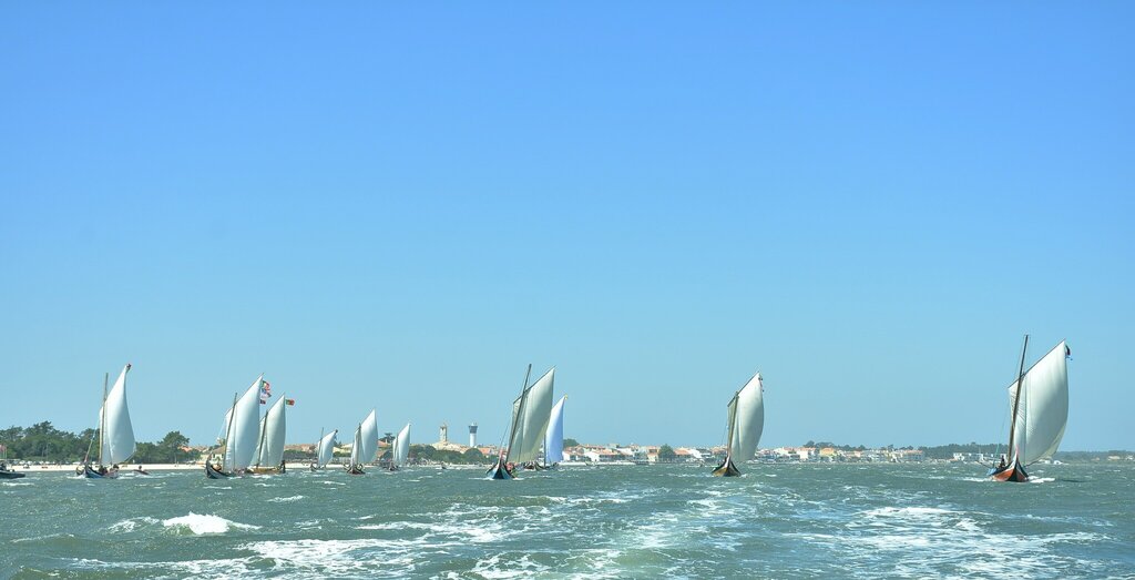 JOSÉ PEDRO MIRANDA VENCEU A GRANDE REGATA DA REGIÃO DE AVEIRO