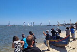 Regata de Moliceiros da Região de Aveiro 2023 festejou a tradição
