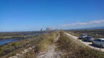 Sistema de Defesa Primário do Baixo Vouga Lagunar avança para obra num investimento de 21,7 milhõ...