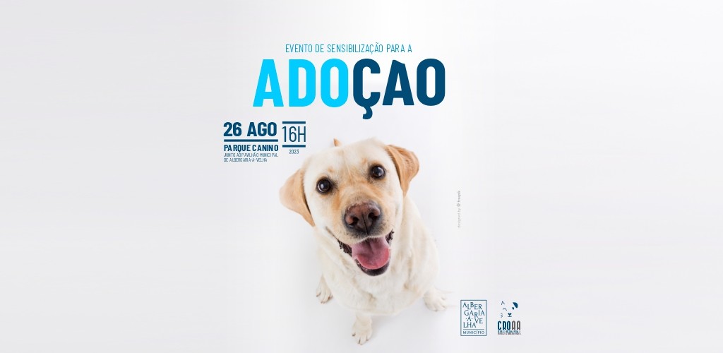 Dia Mundial do Cão assinalado com campanha de adoção