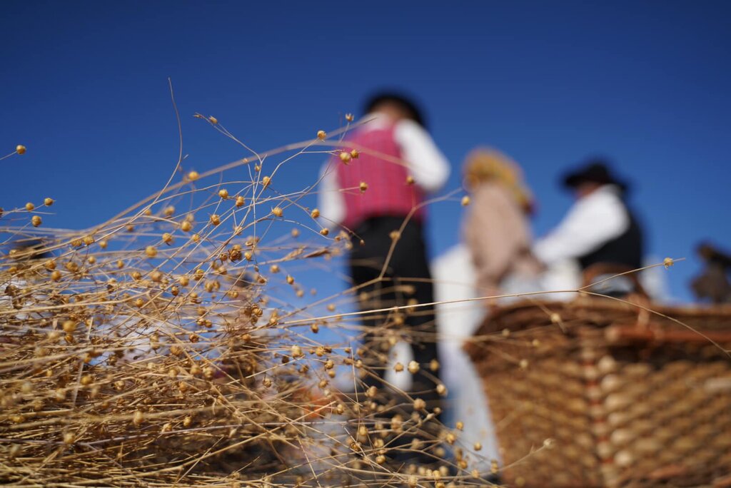 FEIRA GANDARESA E FESTIVAL DE FOLCLORES  EXALTAM OS USOS E COSTUMES REGIONAIS