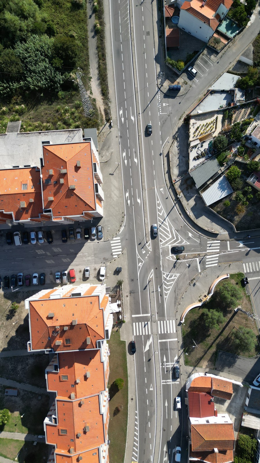 Câmara de Aveiro investiu 145 mil euros em reforço da sinalização horizontal