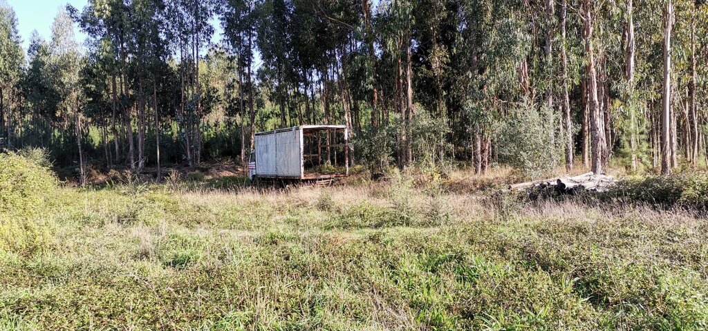 Remoção e recolha de veículos abandonados