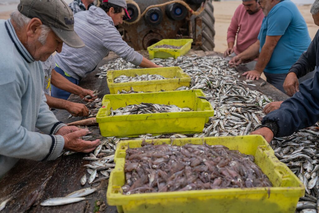 Projeto concluído sobre a Arte Xávega e Cultura Artesanal no Território do GAL Aveiro Sul 