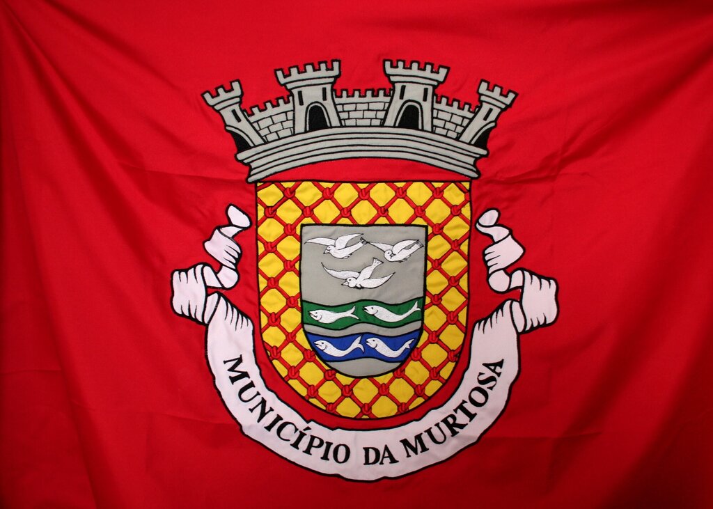 CERIMÓNIAS COMEMORATIVAS DO 29 DE OUTUBRO