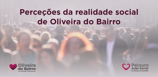 Inquérito aos Munícipes – Perceções da realidade social de Oliveira do Bairro