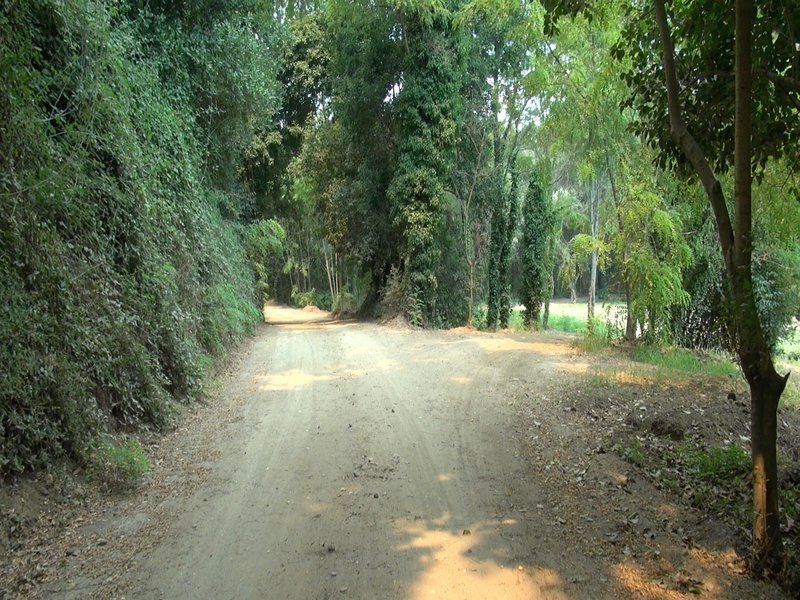Início das Obras do Projeto Vencedor “Acesso ao Parque da Boiça”, em Valongo do Vouga