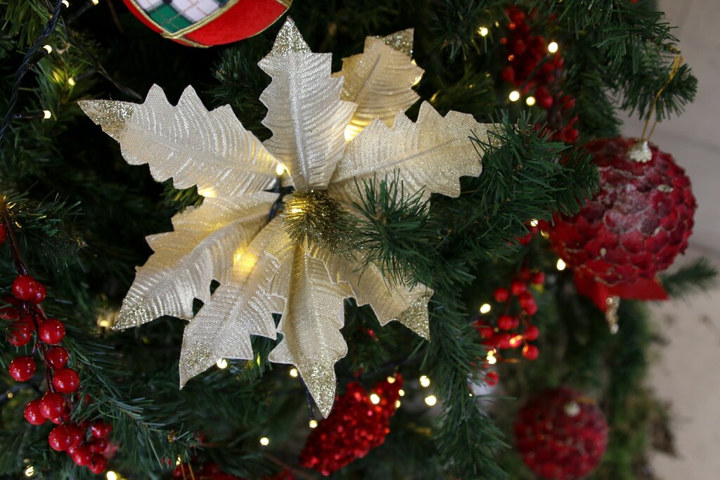 Serviços encerrados a 22 de dezembro e 2 de janeiro