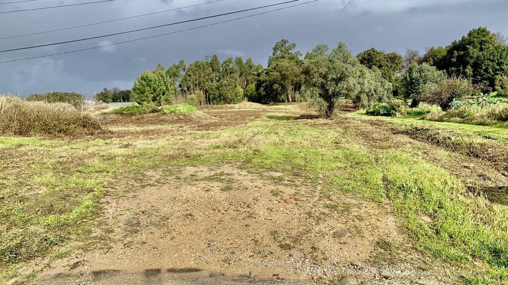 construção de habitações em Sangalhos