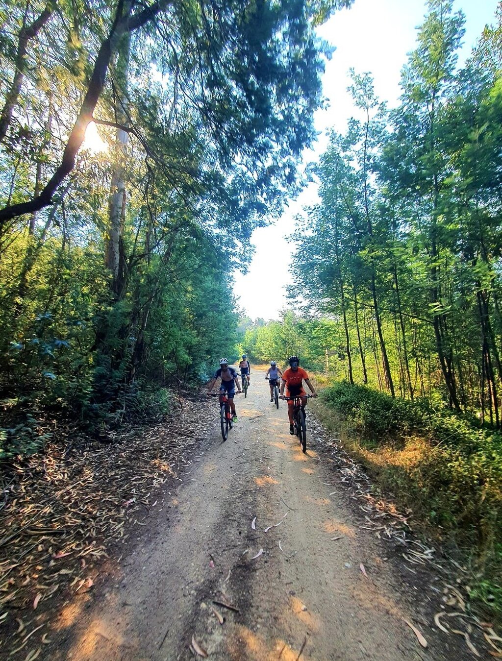 Câmara de Águeda atribui mais de 458 mil euros às coletividades desportivas do concelho