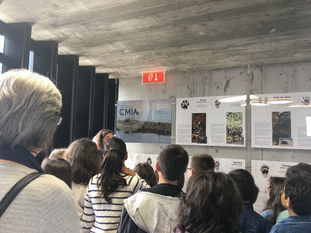 Câmara implementa novo Plano de Ação e de Atividades no CMIA