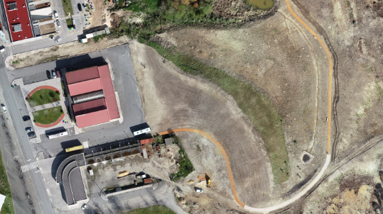 MUNICÍPIO DE VAGOS ASSINALA O DIA MUNDIAL DA ÁRVORE COM PLANTAÇÃO DAS “ÁRVORES DO PALACETE”