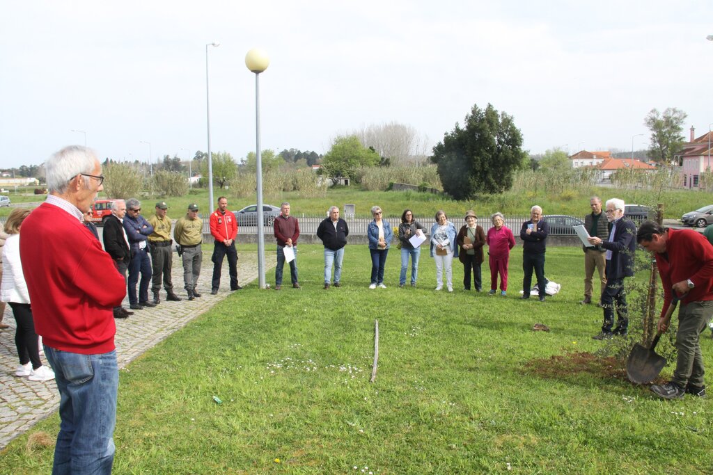 USC assinala Dia da Poesia e das Florestas